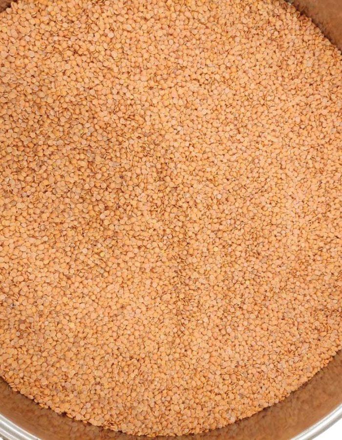 KFG Choice Pulses – Masoor Dal (1 Kg) मसूर दाल